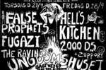<a href='/fugazi_live_series/copenhagen-denmark-92790'>Show Flyer - </a> Blank