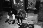 <a href='/fugazi_live_series/dusseldorf-germany-110188'>AK47, Dusseldorf, Germany 11/88 - Photo © by Fugazi</a> Blank