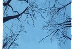 Ds146_300dpi