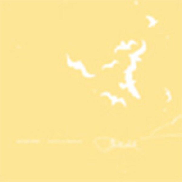 A Still Silhouette