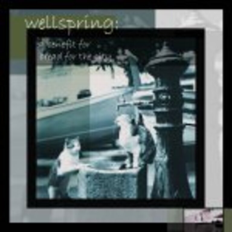 Wellspring: A Benefit for Bread for the City