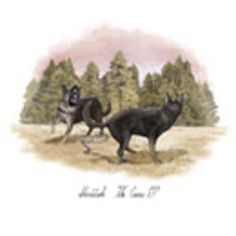 Covers EP