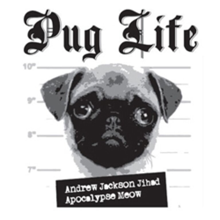Andrew Jackson Jihad/Apocalypse Meow 