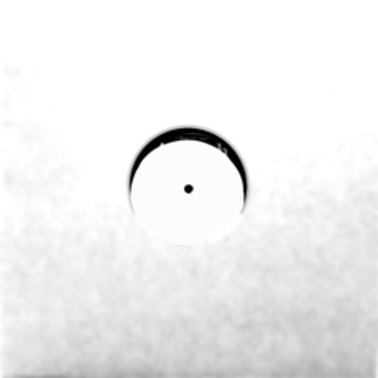 Heat Wave 12-inch