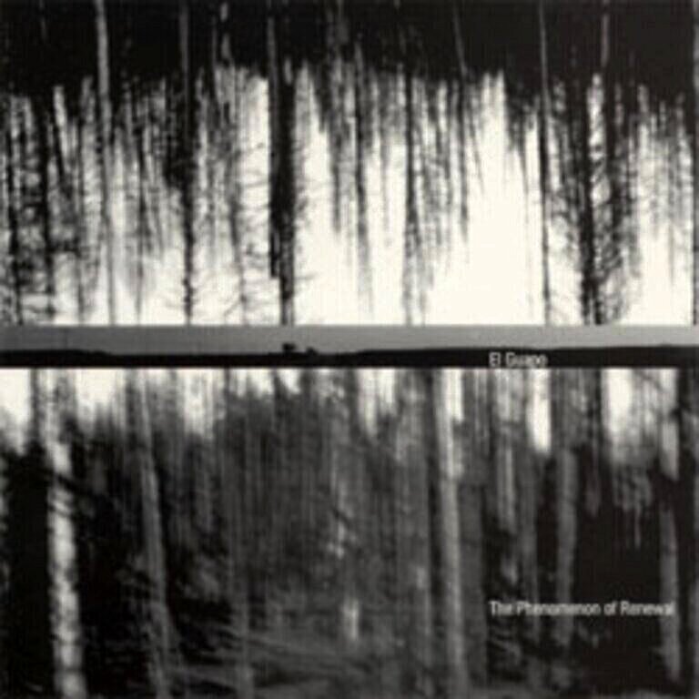 Phenomenon of Renewal